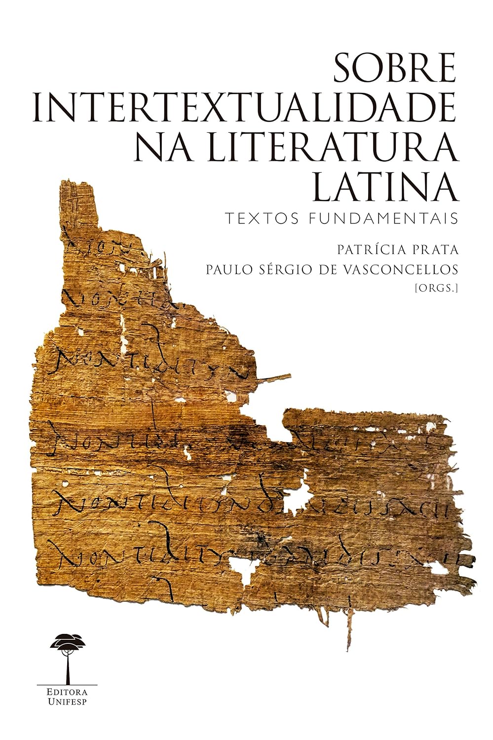 Sobre Intertextualidade na Literatura Latina: Textos fundamentais baixar o livro de graça