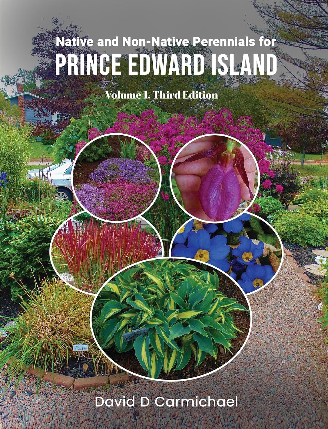 Native and Non-Native Perennials for Prince Edward Island: A Pictorial Library Volume 1: Third Edition (English Edition) baixar livro de graça