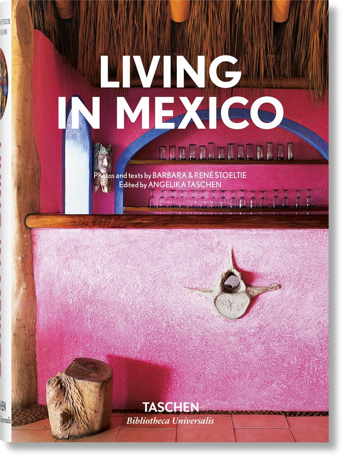 ler totalmente Living in Mexico
