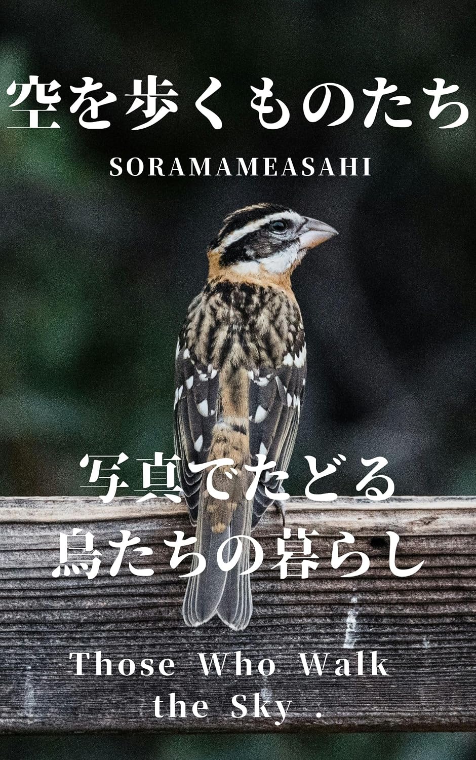 sorawoarukumonotachi: shashindetadorutoritachinokurashi (Japanese Edition) baixar o livro de graça