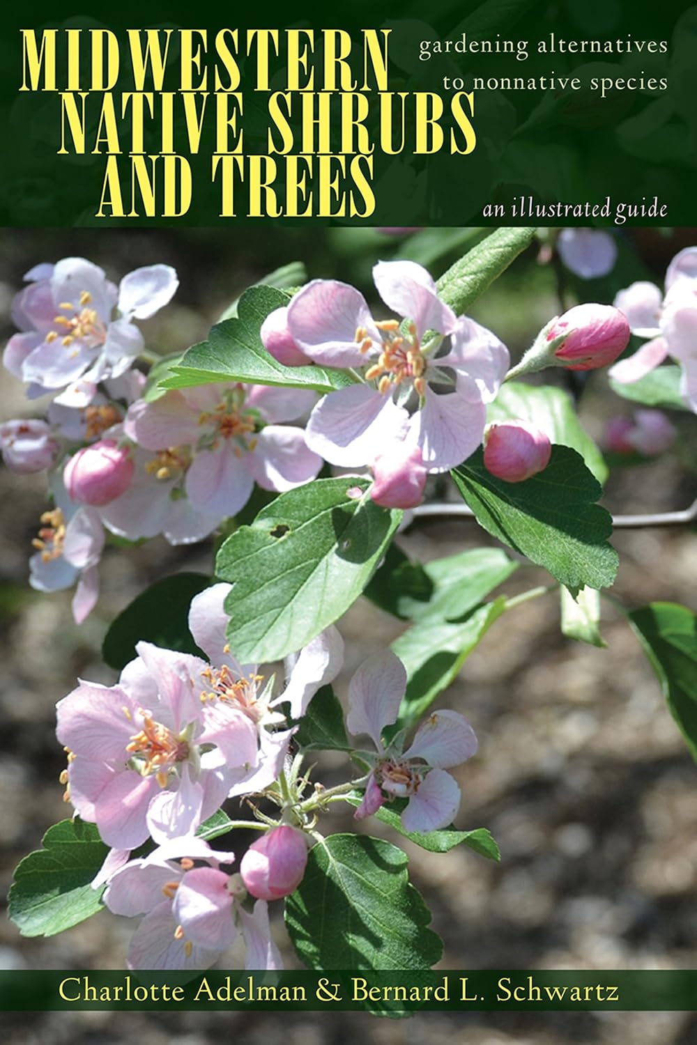 ler totalmente Midwestern Native Shrubs and Trees: Gardening Alternatives to Nonnative Species: An Illustrated Guide (English Edition)
