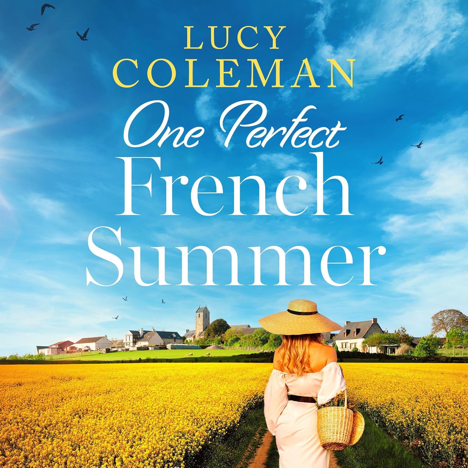 One Perfect French Summer: The perfect uplifting and feel good read for 2026! baixar o livro de graça