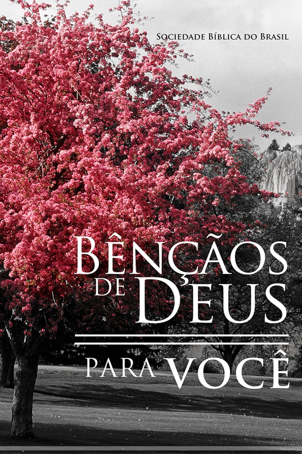 Bênçãos de Deus para você baixar livro de graça
