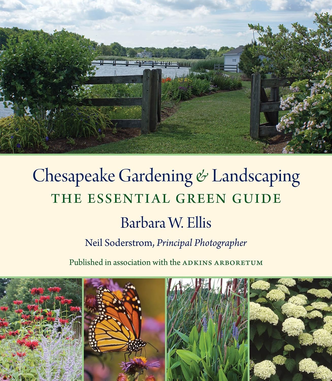 Chesapeake Gardening and Landscaping: The Essential Green Guide (English Edition) baixar o livro de graça
