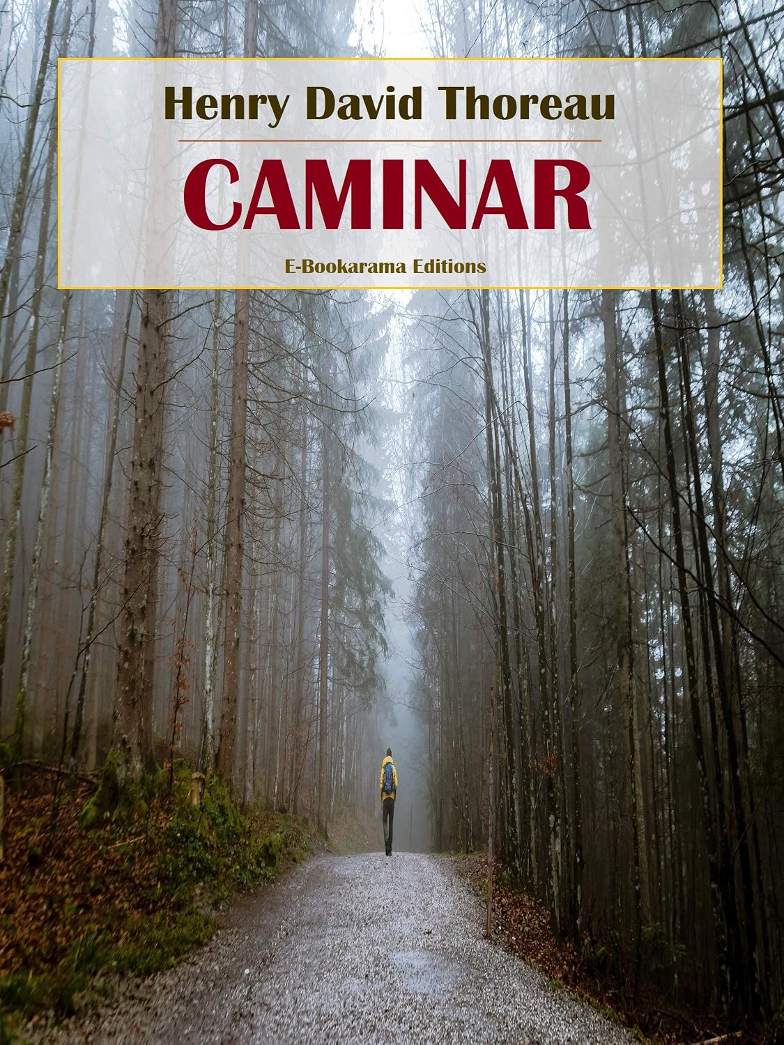 Caminar (Spanish Edition) baixar o livro de graça