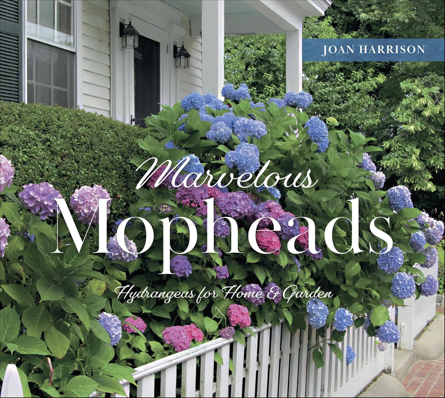 ler totalmente Marvelous Mopheads: Hydrangeas for Home & Garden (English Edition)