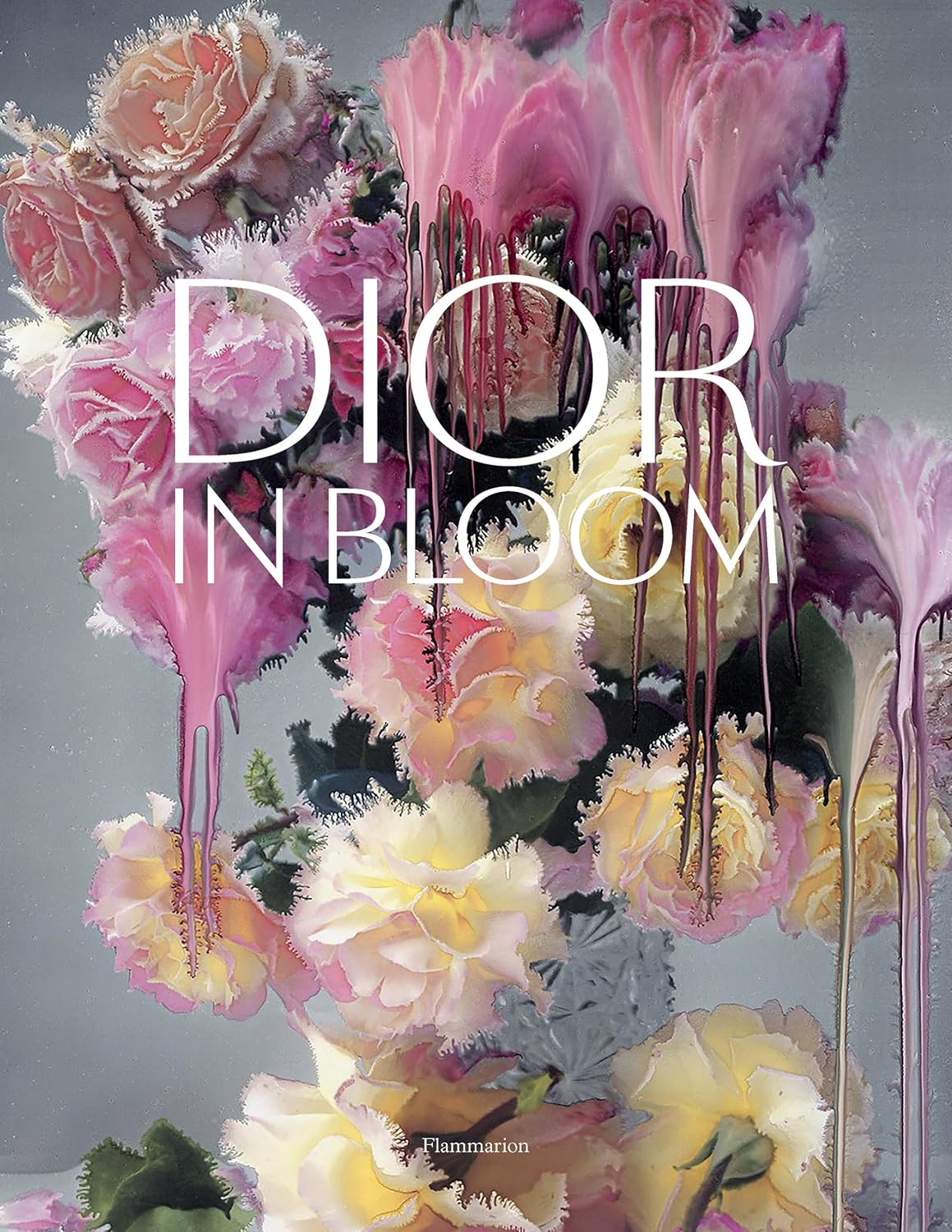 capítulo por capítulo baixar Dior in Bloom
