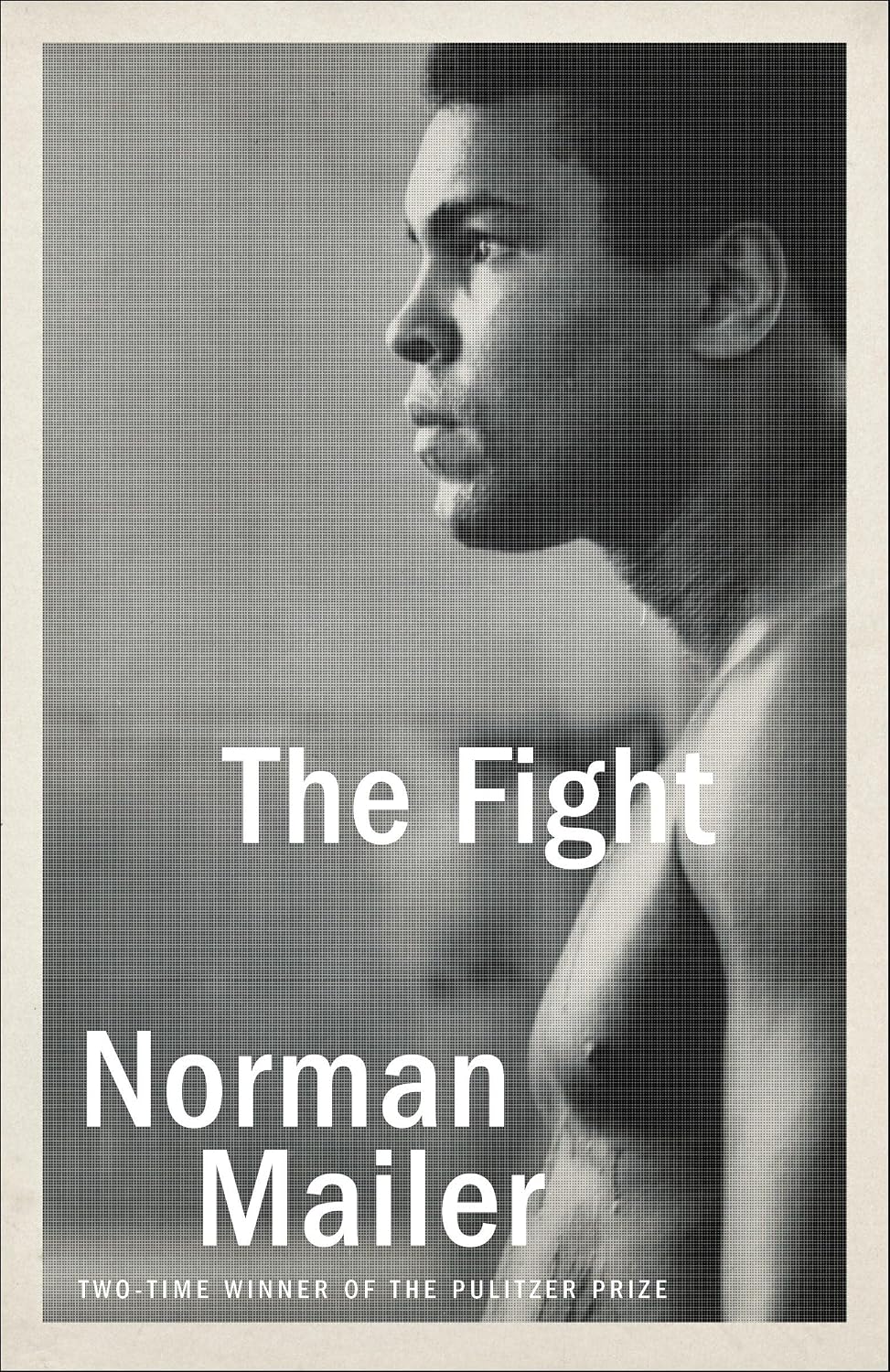 The Fight baixar o livro de graça
