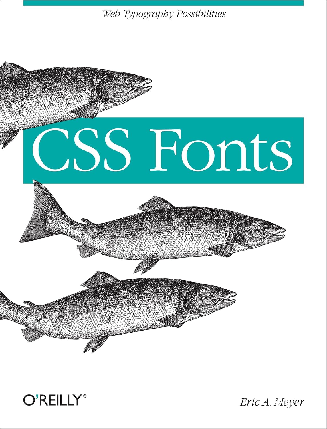 CSS Fonts: Web Typography Possibilities (English Edition) baixar livro de graça