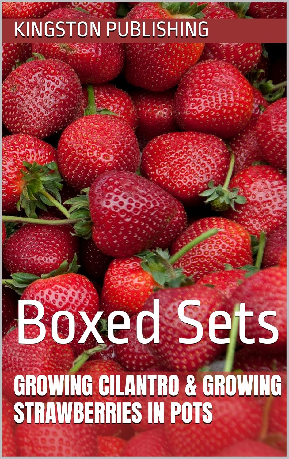 Growing Cilantro & Growing Strawberries in Pots: Boxed Sets (Homegrown Ingredients) (English Edition) baixar livro de graça
