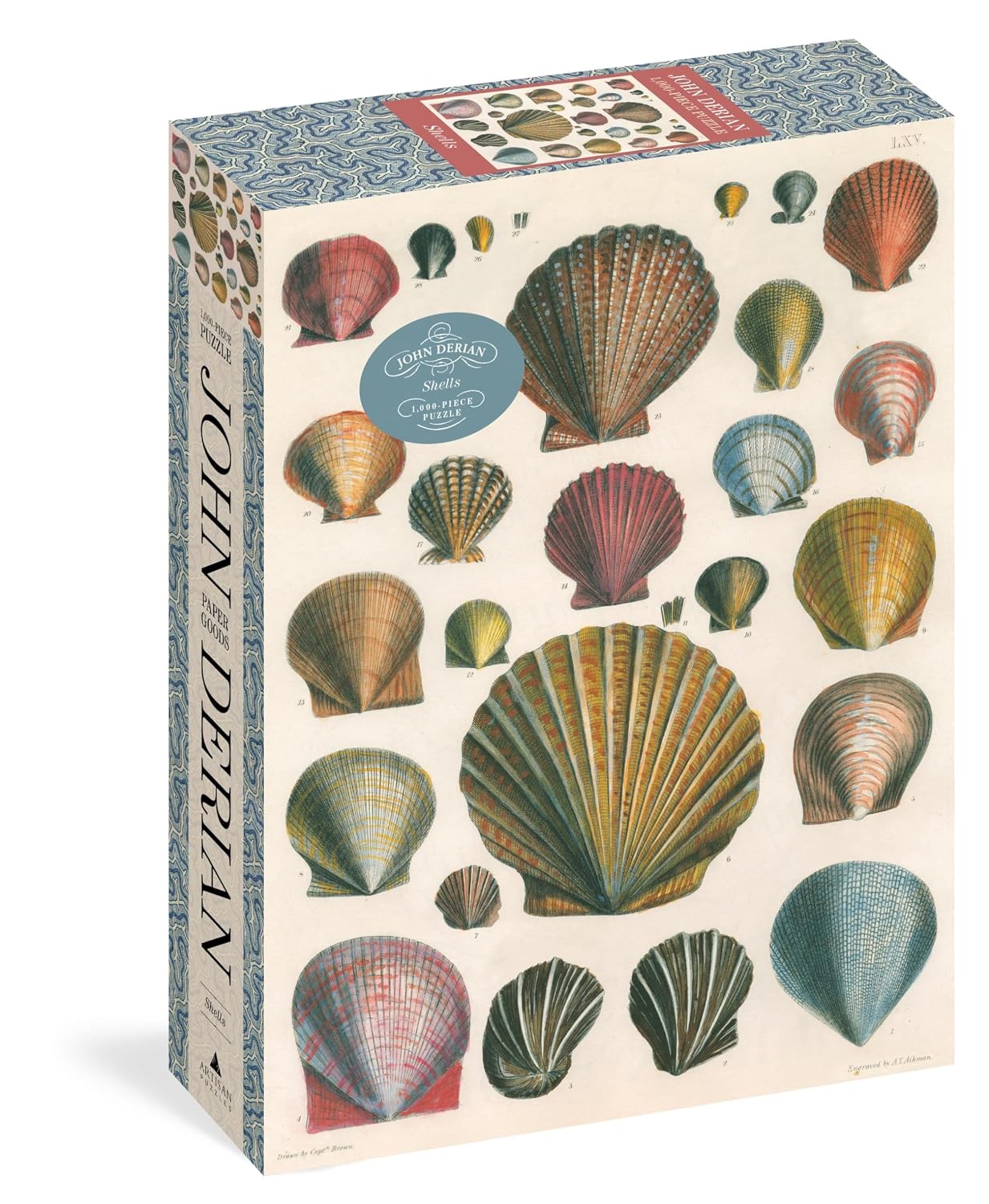 ler totalmente John Derian Paper Goods: Shells 1,000-Piece Puzzle