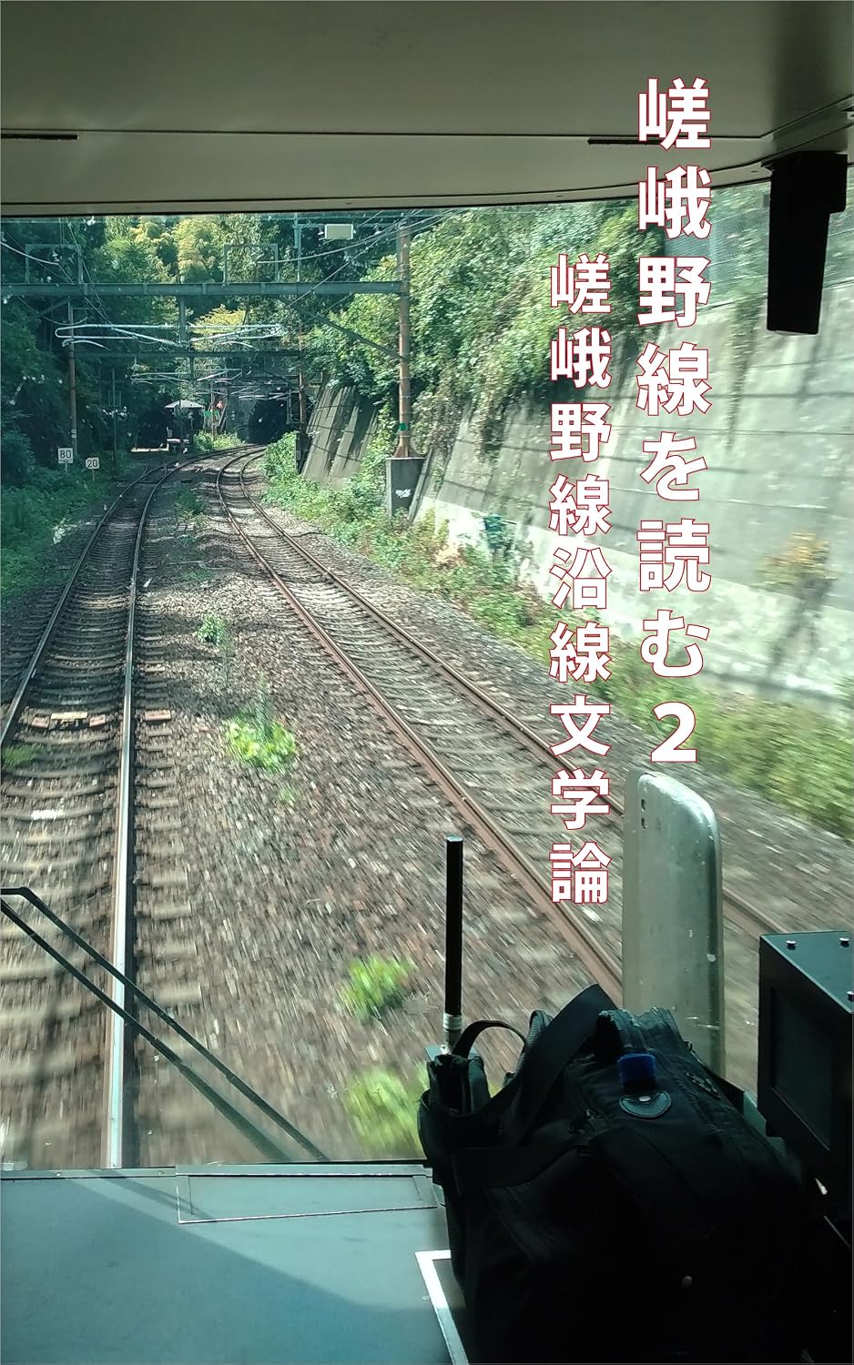 Saganosen wo yomu 2: Saganosen ensen bungakuron (Japanese Edition) baixar o livro de graça