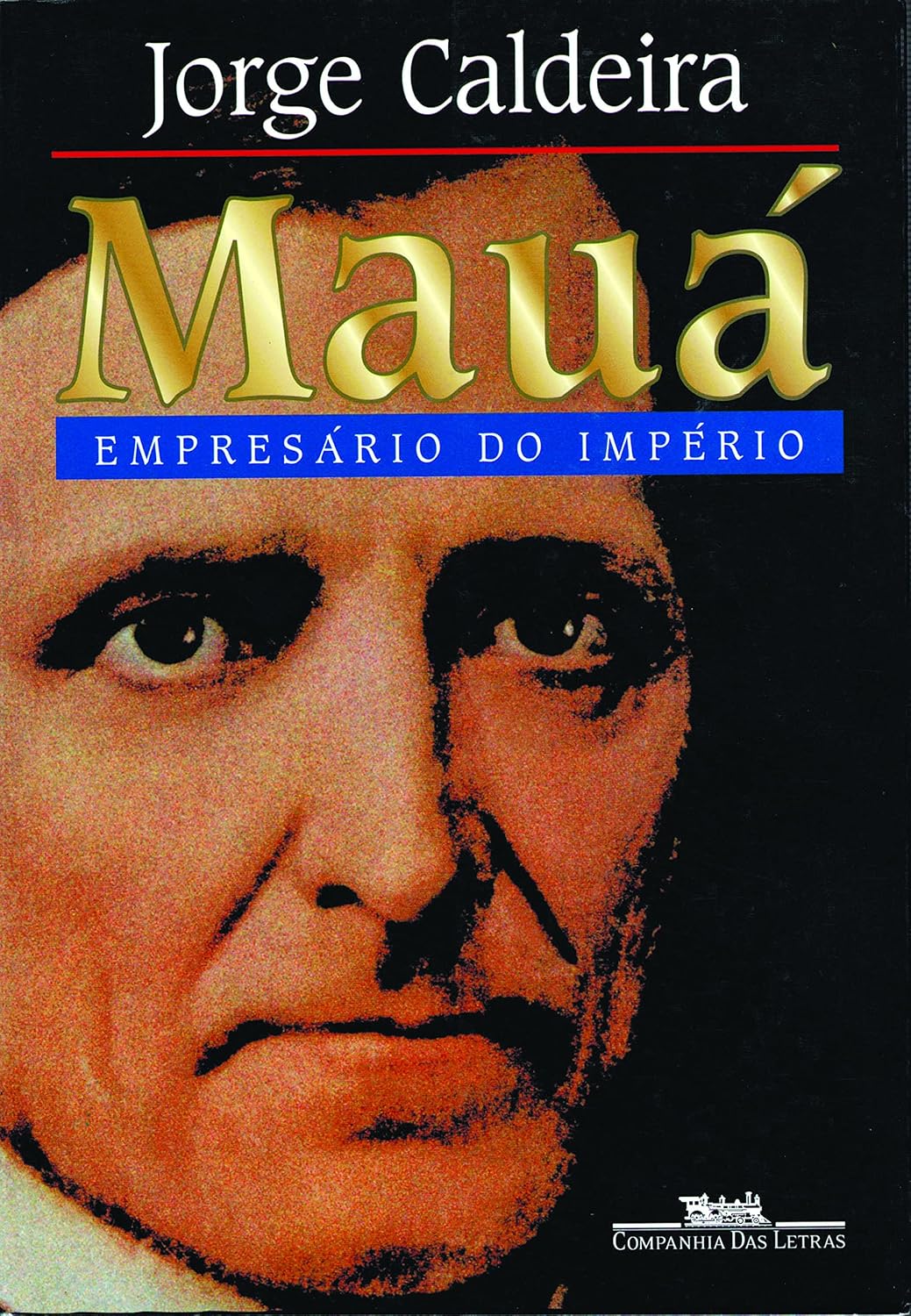 Mauá: empresário do império baixar livro de graça