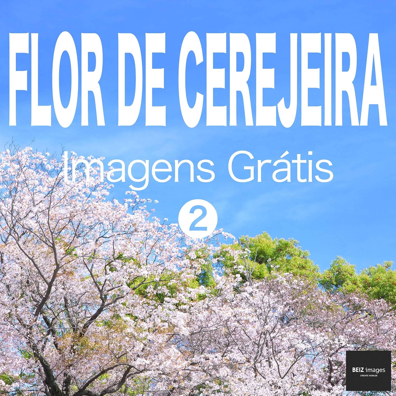 ler totalmente FLOR DE CEREJEIRA Imagens Grátis 2 BEIZ images - Fotos Grátis