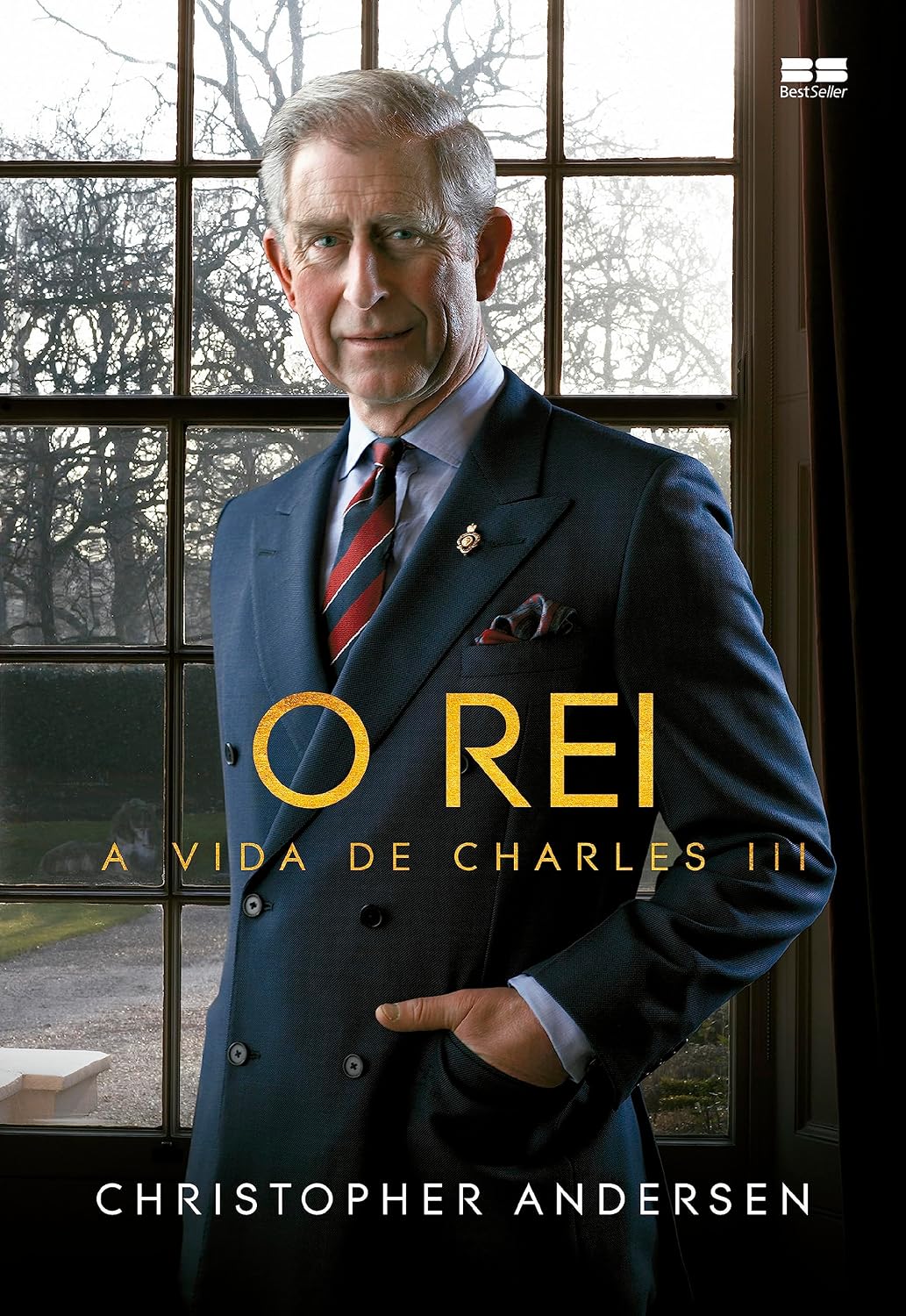 O rei: A vida de Charles III baixar livro de graça