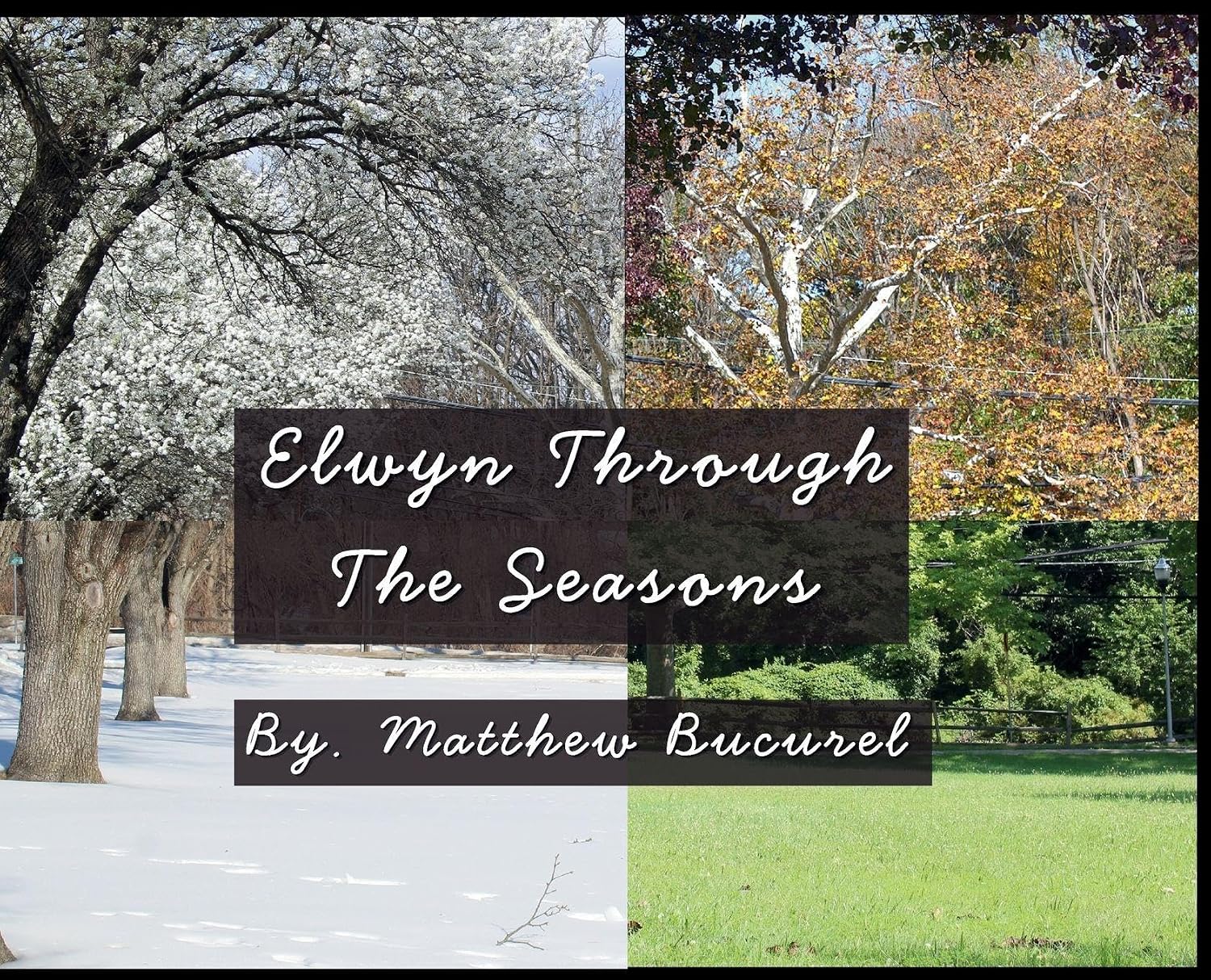 Elwyn Through The Seasons baixar livro de graça