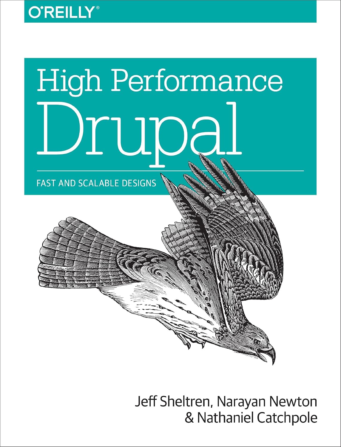 ler totalmente High Performance Drupal: Fast and Scalable Designs (English Edition)