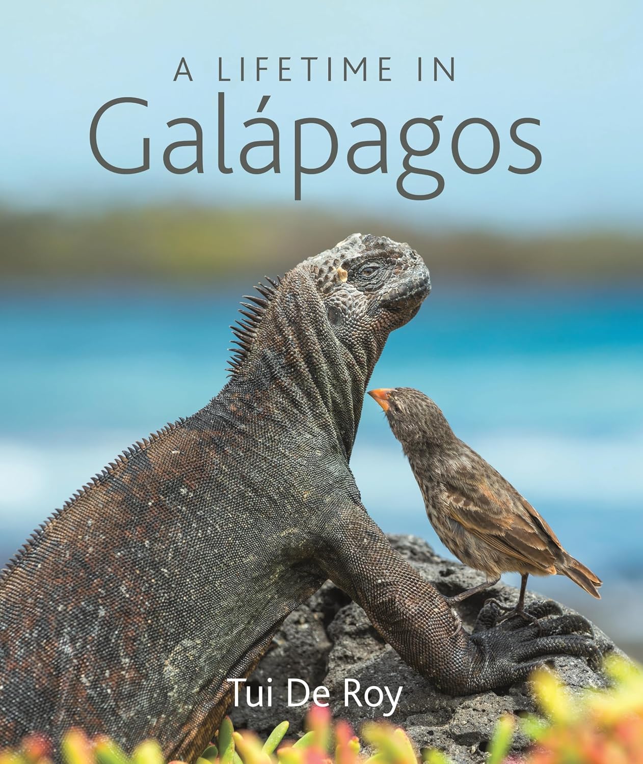 capítulo por capítulo baixar A Lifetime in Galápagos