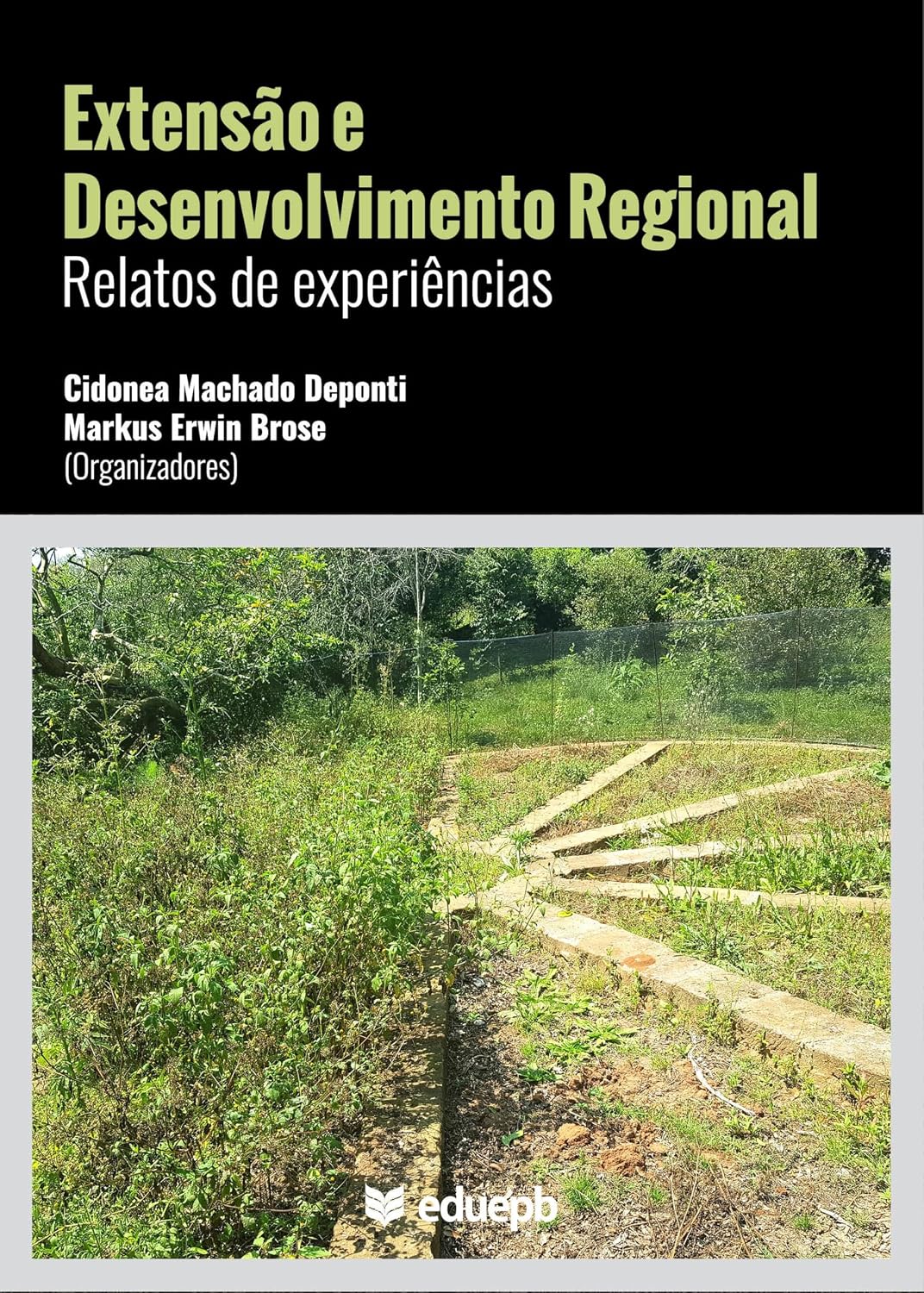 Extensão e desenvolvimento regional: relatos de experiências baixar livro de graça