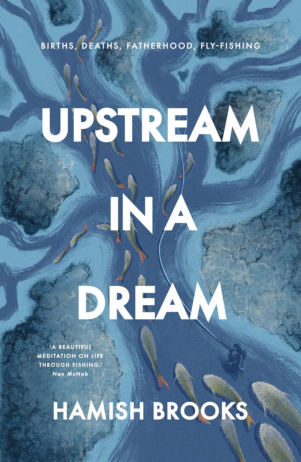 capítulo por capítulo baixar Upstream in a Dream: Births, deaths, fatherhood, fly-fishing (English Edition)