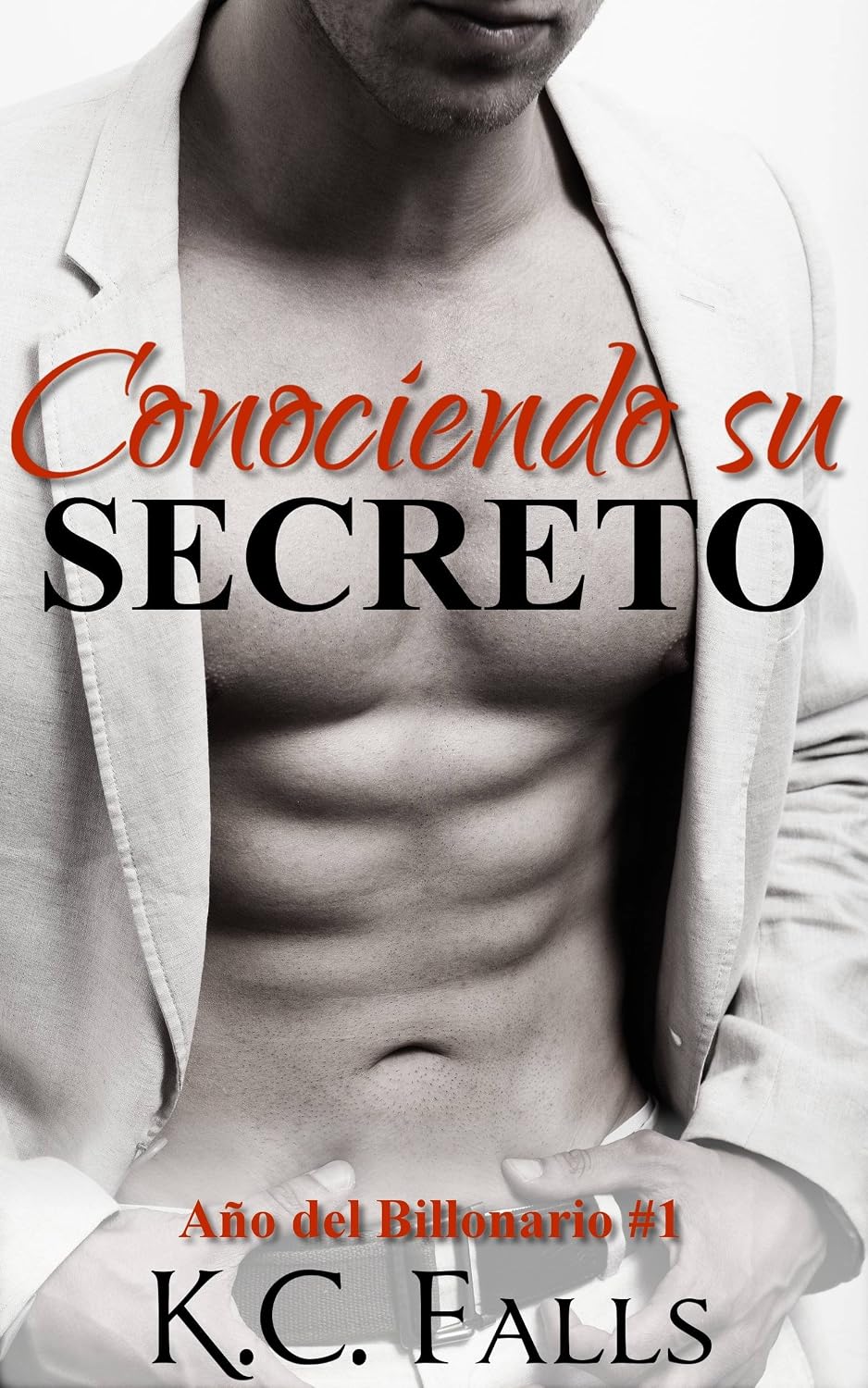 Año del Billonario Vol. #1: Conociendo su Secreto (Spanish Edition) baixar livro de graça