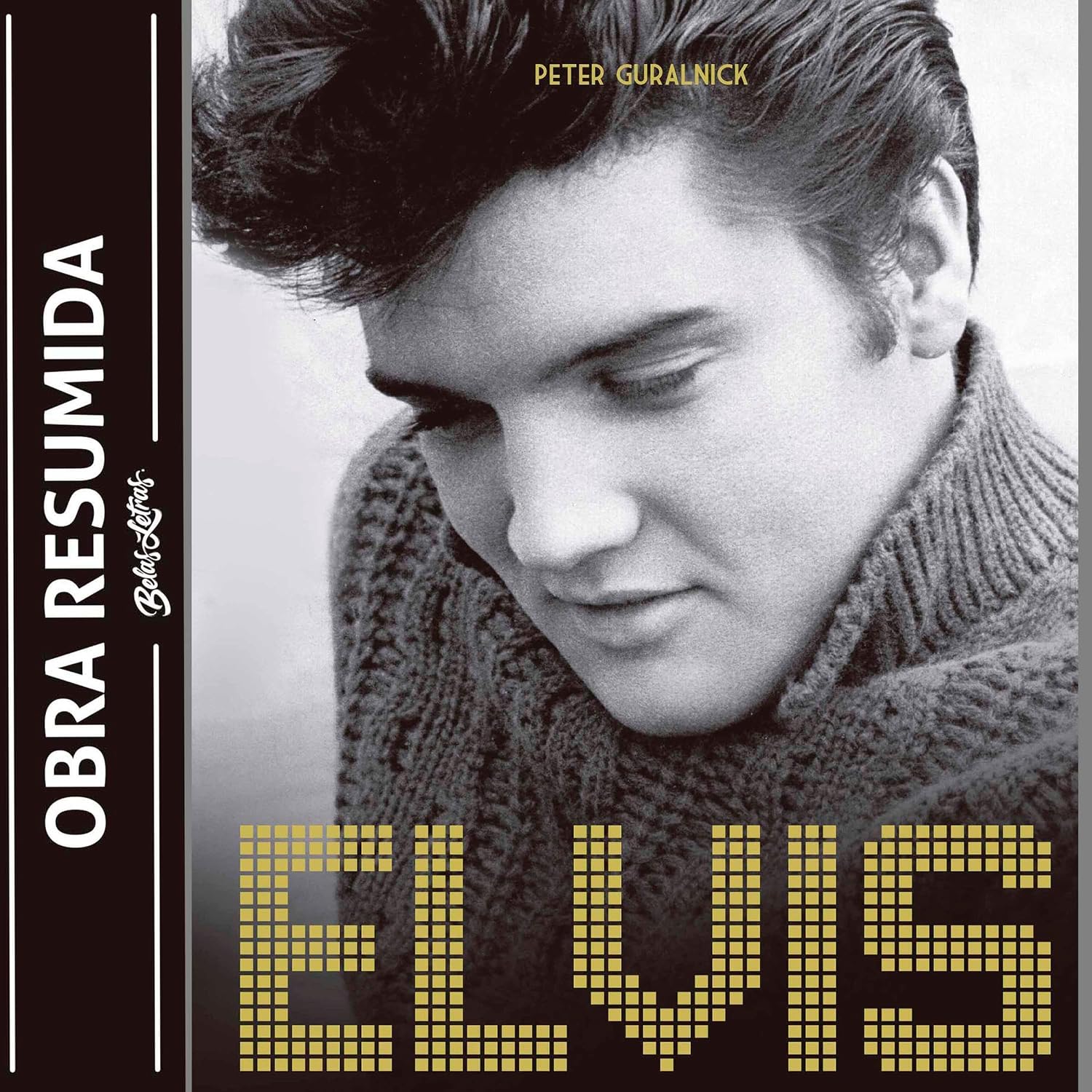 capítulo por capítulo baixar Elvis Presley - Último trem pra Memphis (resumo)
