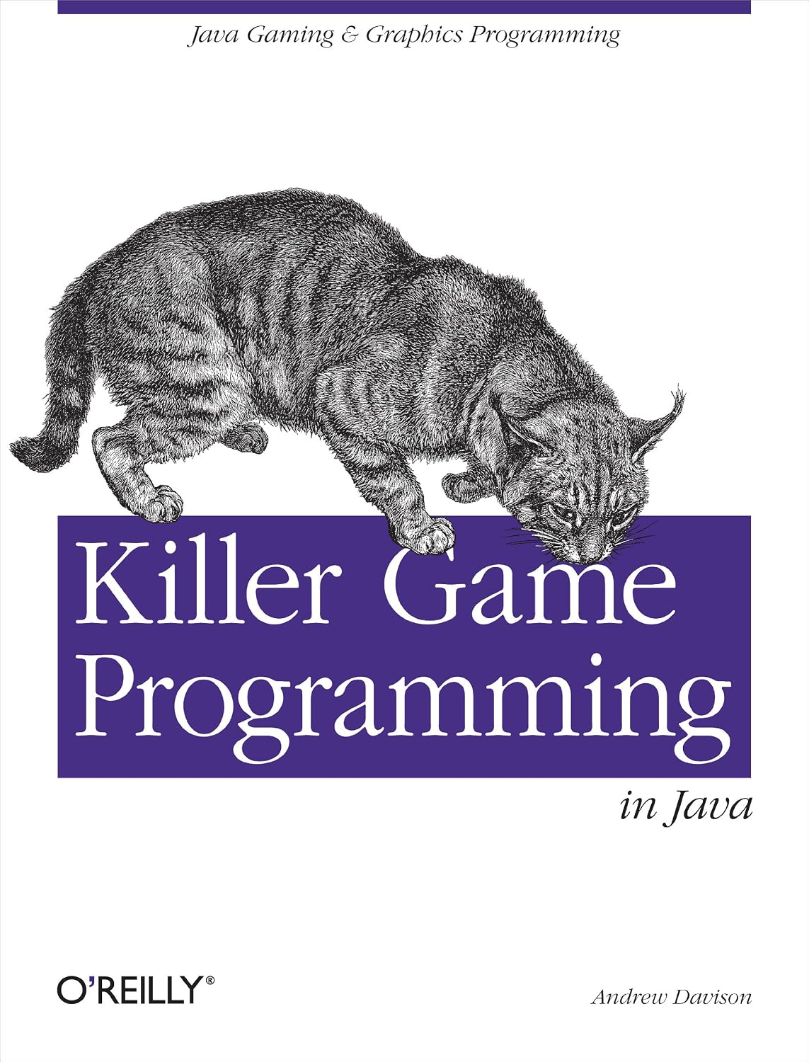 Killer Game Programming in Java: Java Gaming & Graphics Programming baixar livro de graça