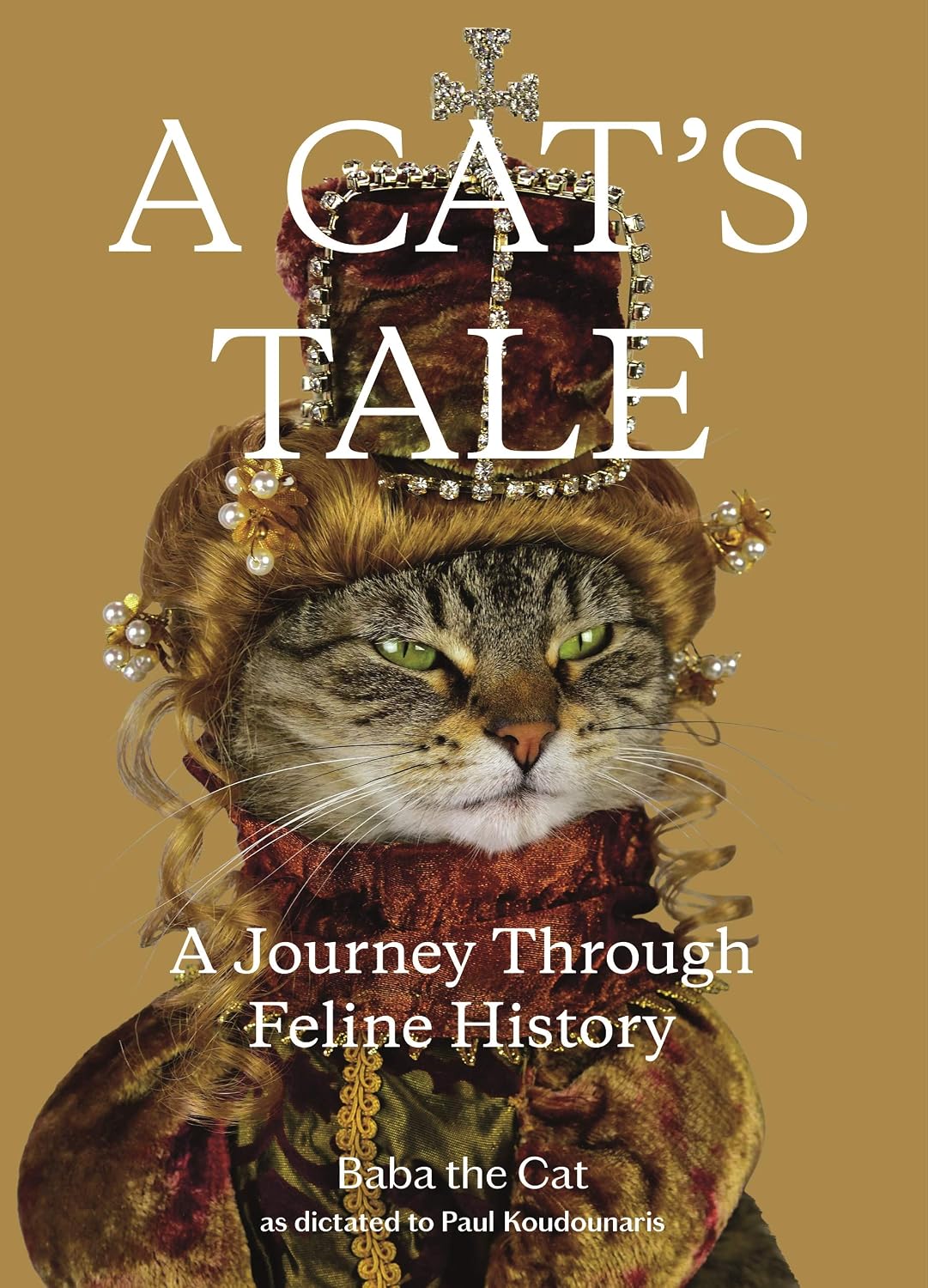 capítulo por capítulo baixar A Cat's Tale: A Journey Through Feline History