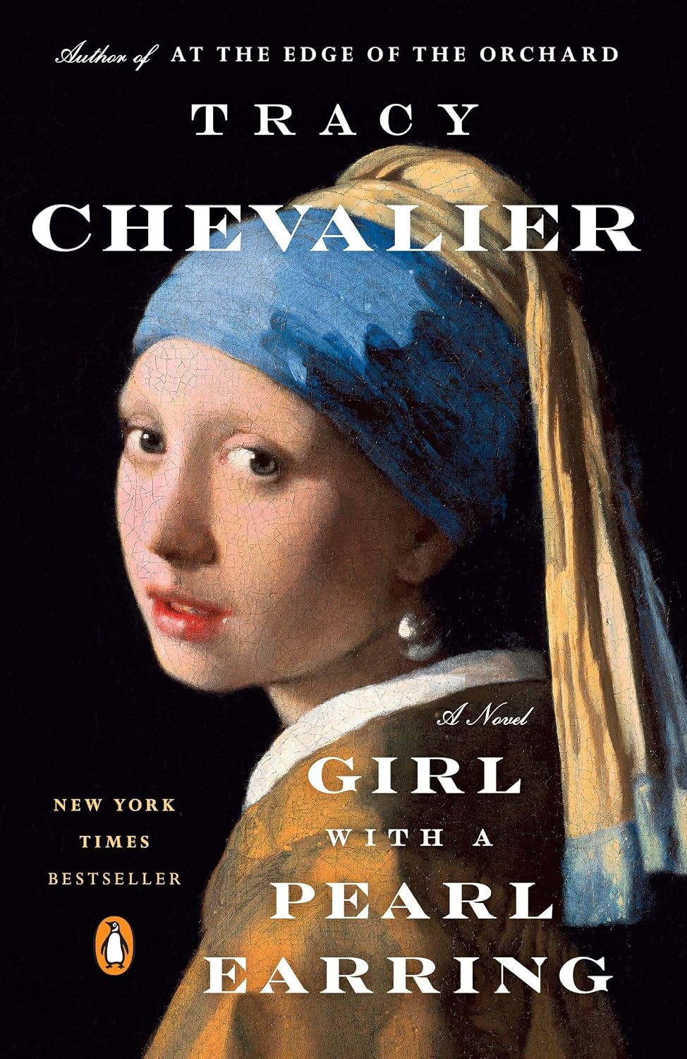 Girl with a Pearl Earring: A Novel baixar livro de graça