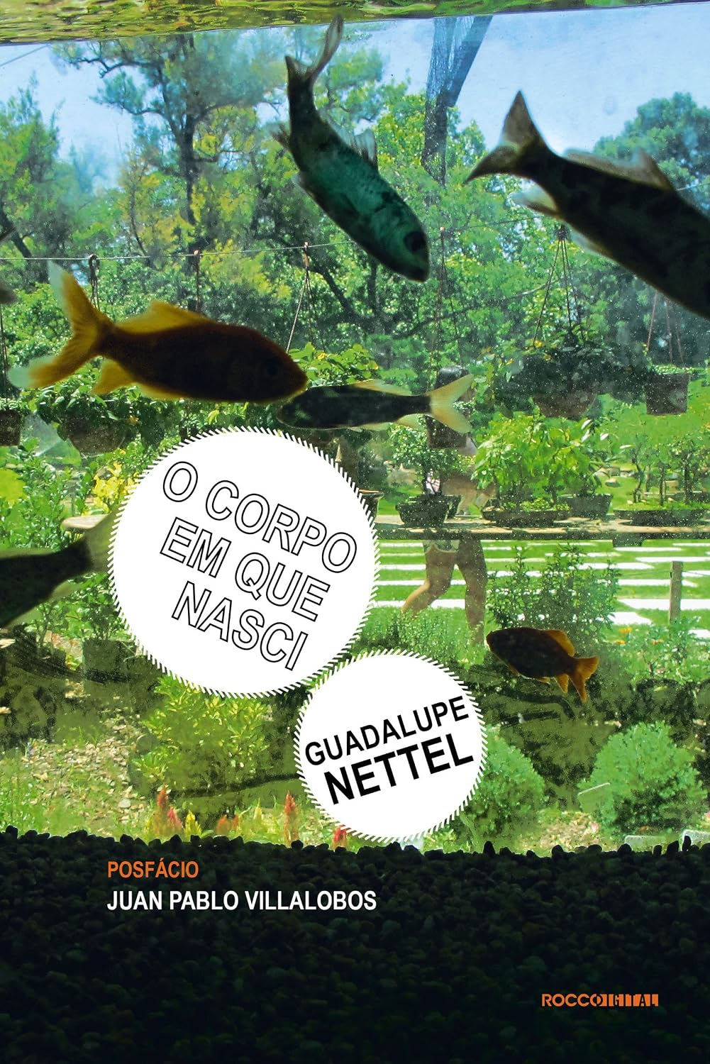 ler totalmente O corpo em que nasci (Otra Língua)