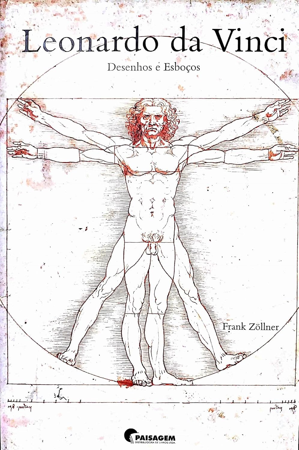 Leonardo da Vinci: desenhos e esboços baixar o livro de graça