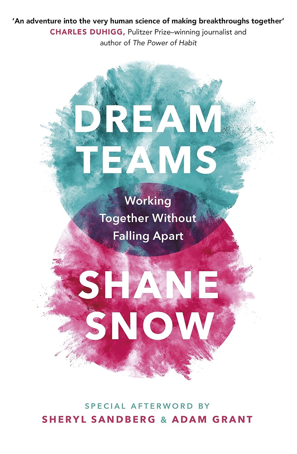 Dream Teams: Working Together Without Falling Apart (English Edition) baixar livro de graça