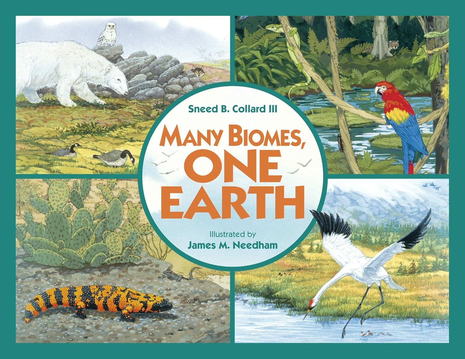 Many Biomes, One Earth: Exploring Terrestrial Biomes of North and South America baixar o livro de graça