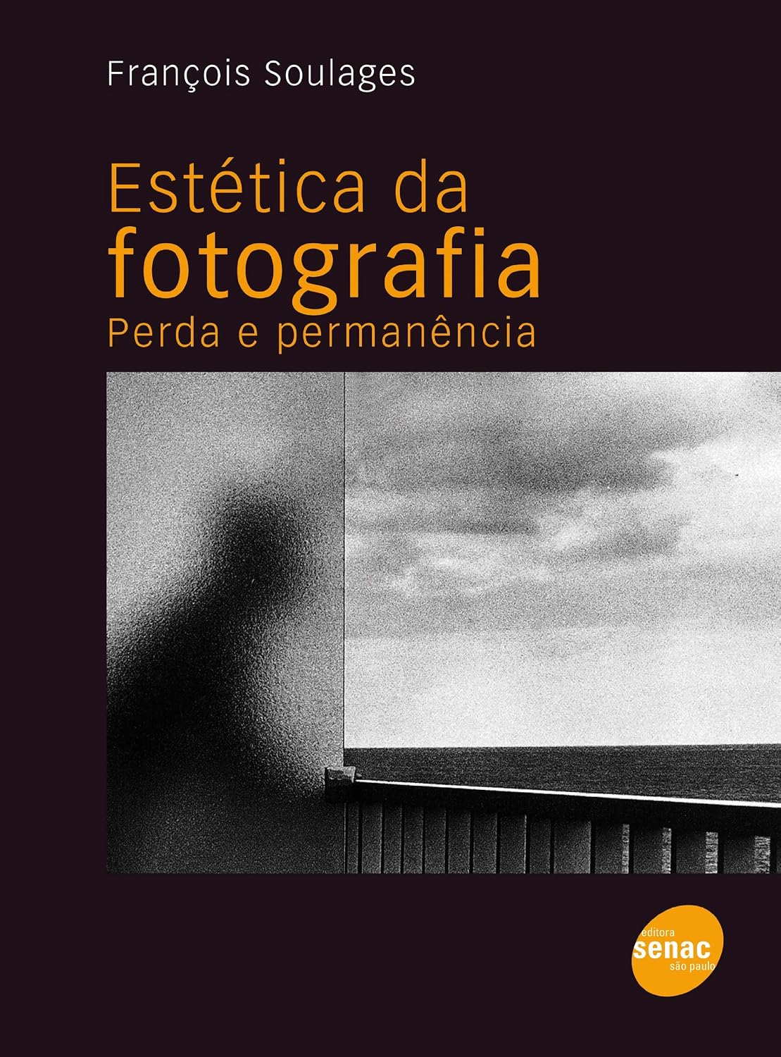 capítulo por capítulo baixar Estética da fotografia: Perda e permanência