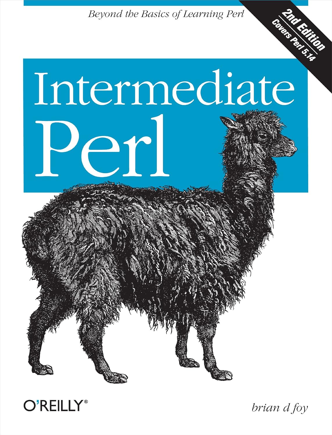 Intermediate Perl: Beyond The Basics of Learning Perl (English Edition) baixar o livro de graça