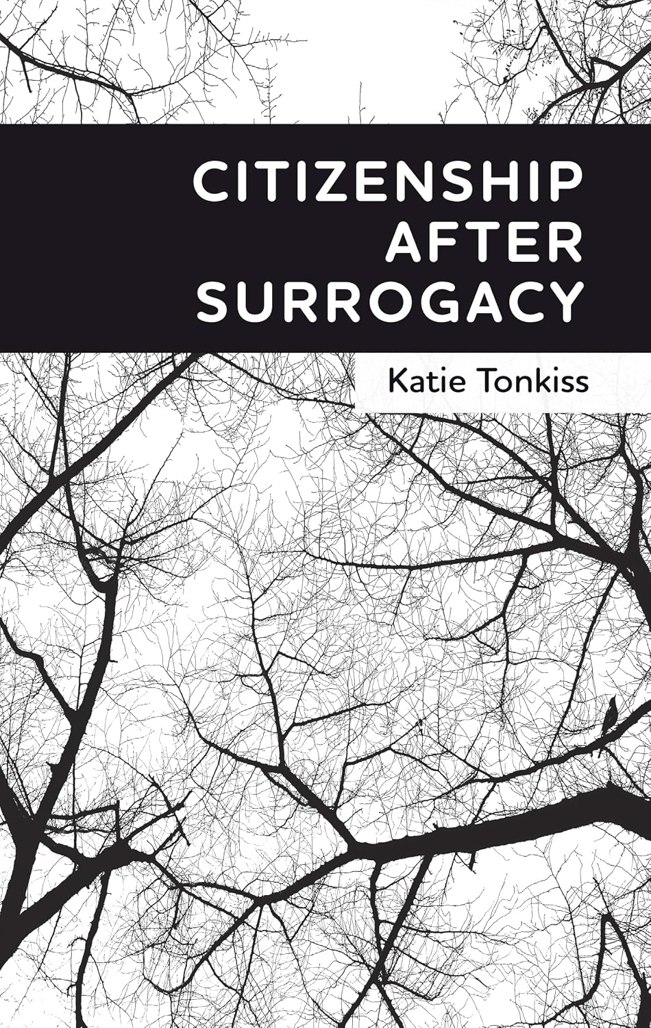 Citizenship after surrogacy (English Edition) baixar livro de graça