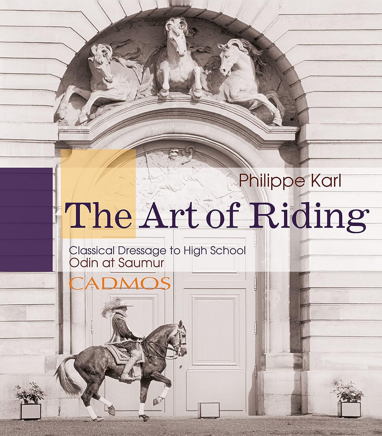 ler totalmente The Art of Riding: Classical Dressage to High School – Odin at Saumur (Horses) (English Edition)