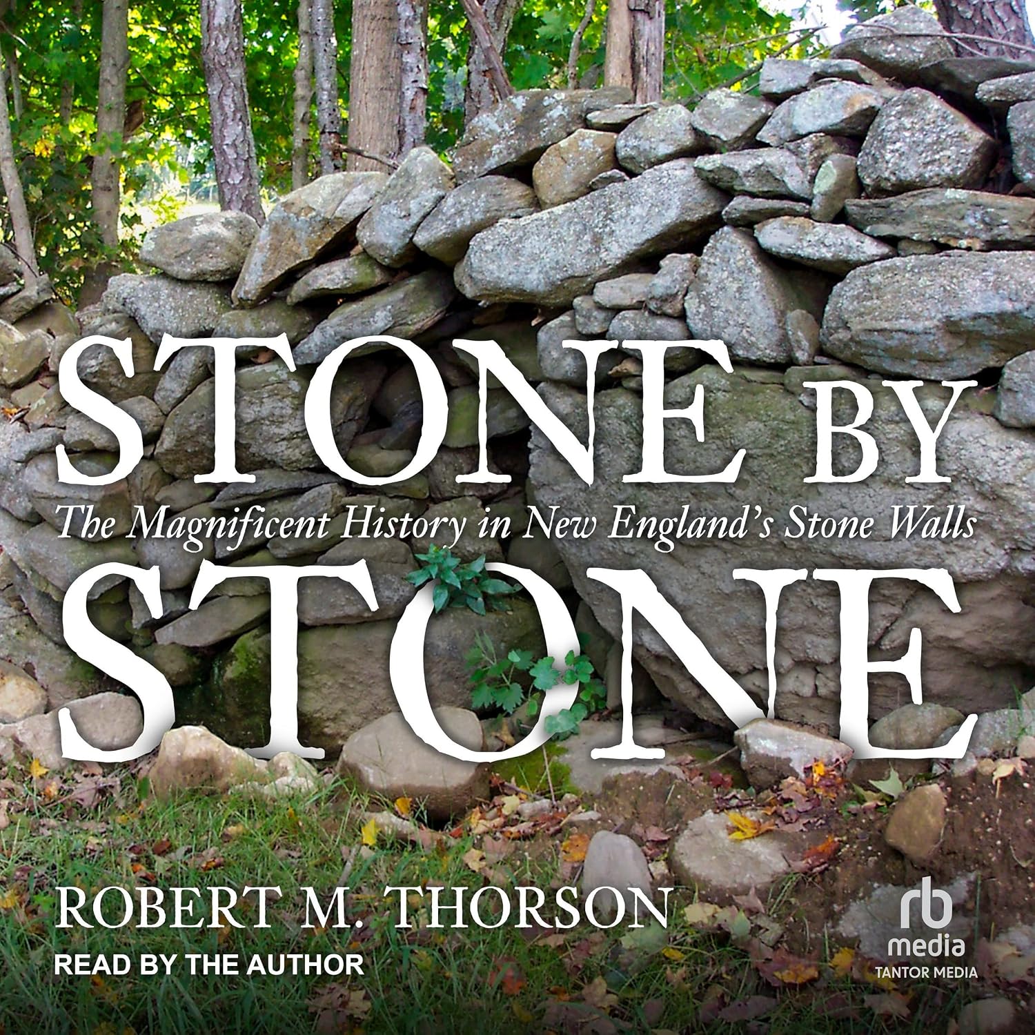 Stone by Stone: The Magnificent History in New England's Stone Walls baixar livro de graça