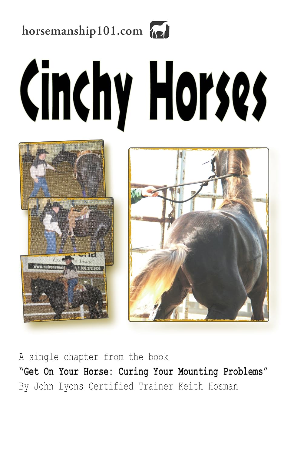 ler totalmente Cinchy Horses (Curing Your Mounting Problems Book 9) (English Edition)