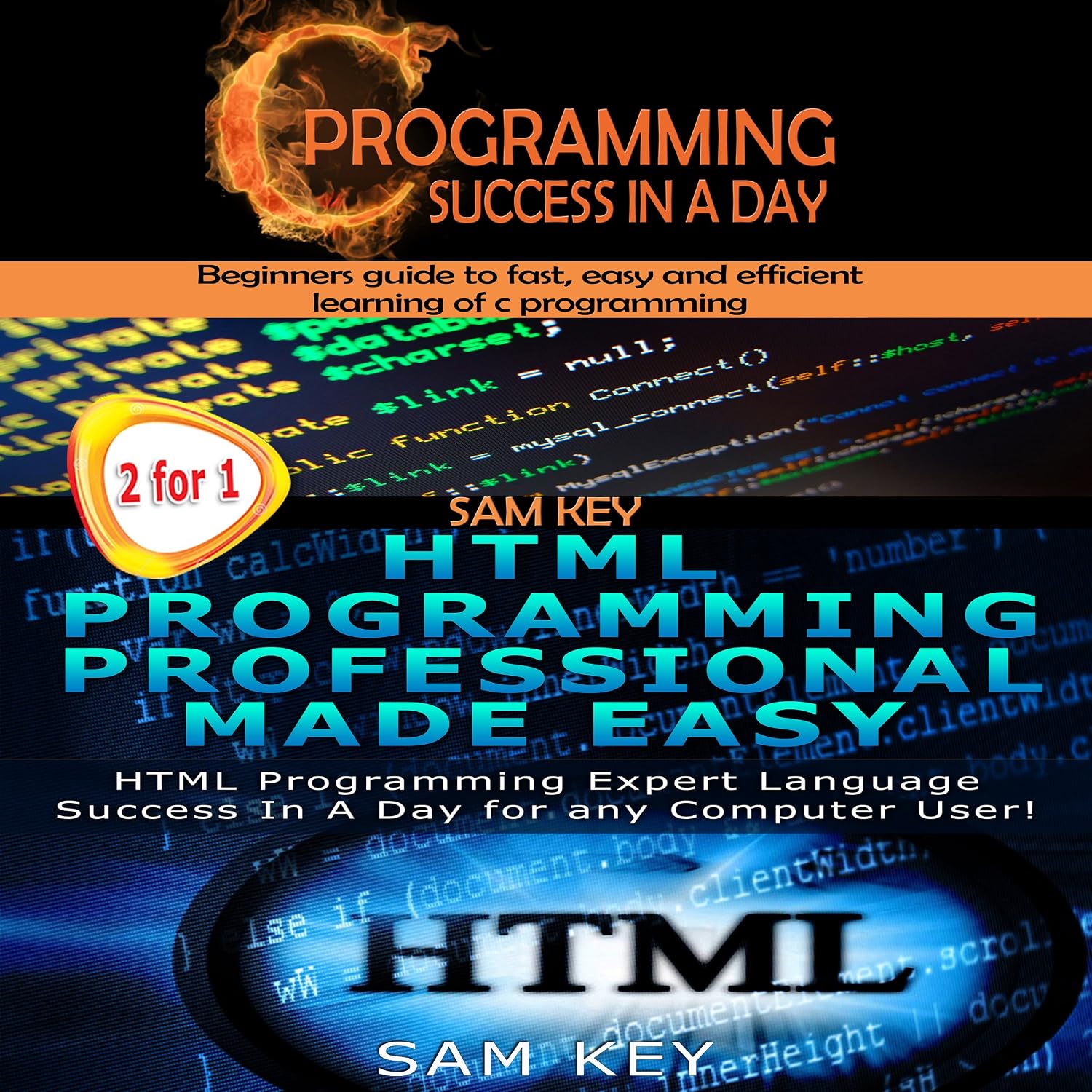 C Programming Success in a Day & HTML Professional Programming Made Easy: Volume 13