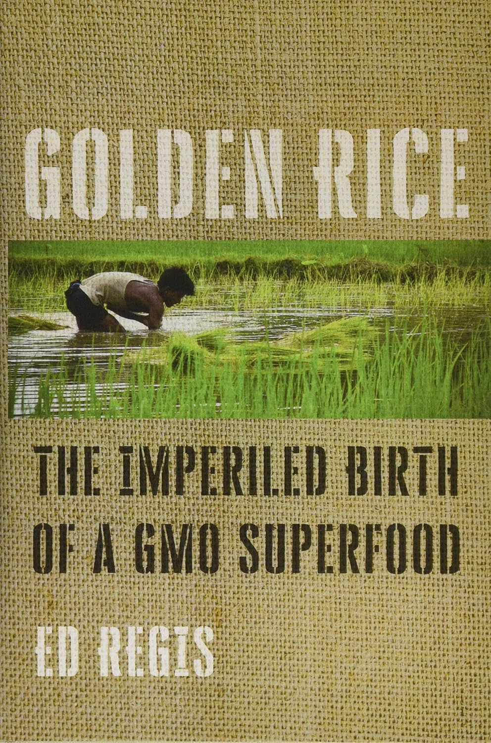 ler totalmente Golden Rice: The Imperiled Birth of a Gmo Superfood
