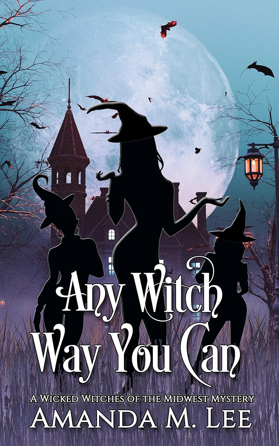 Any Witch Way You Can (Wicked Witches of the Midwest Book 1) (English Edition) baixar livro de graça
