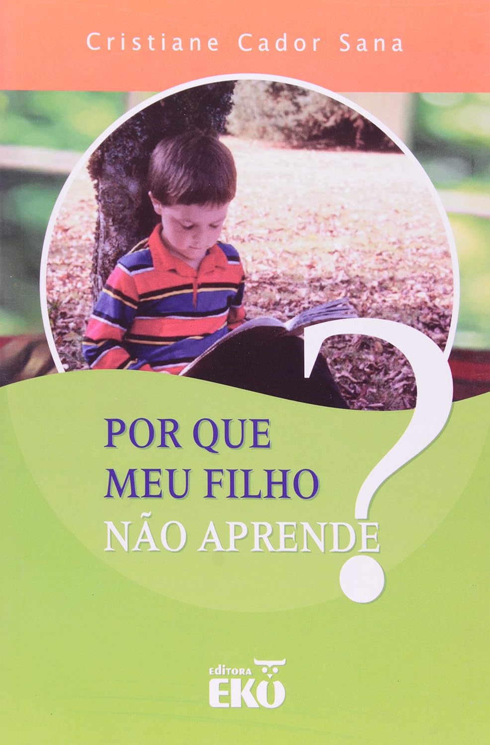Por que Meu Filho não Aprende? baixar livro de graça