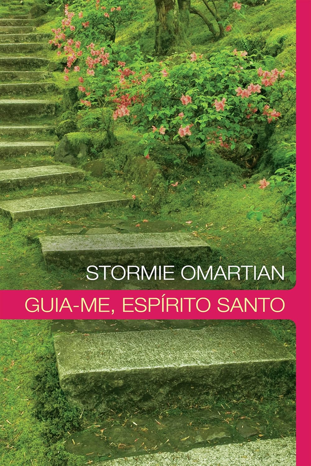 ler totalmente Guia-me, Espírito Santo