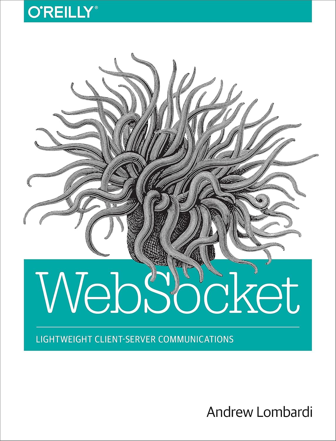 WebSocket: Lightweight Client-Server Communications (English Edition) baixar livro de graça