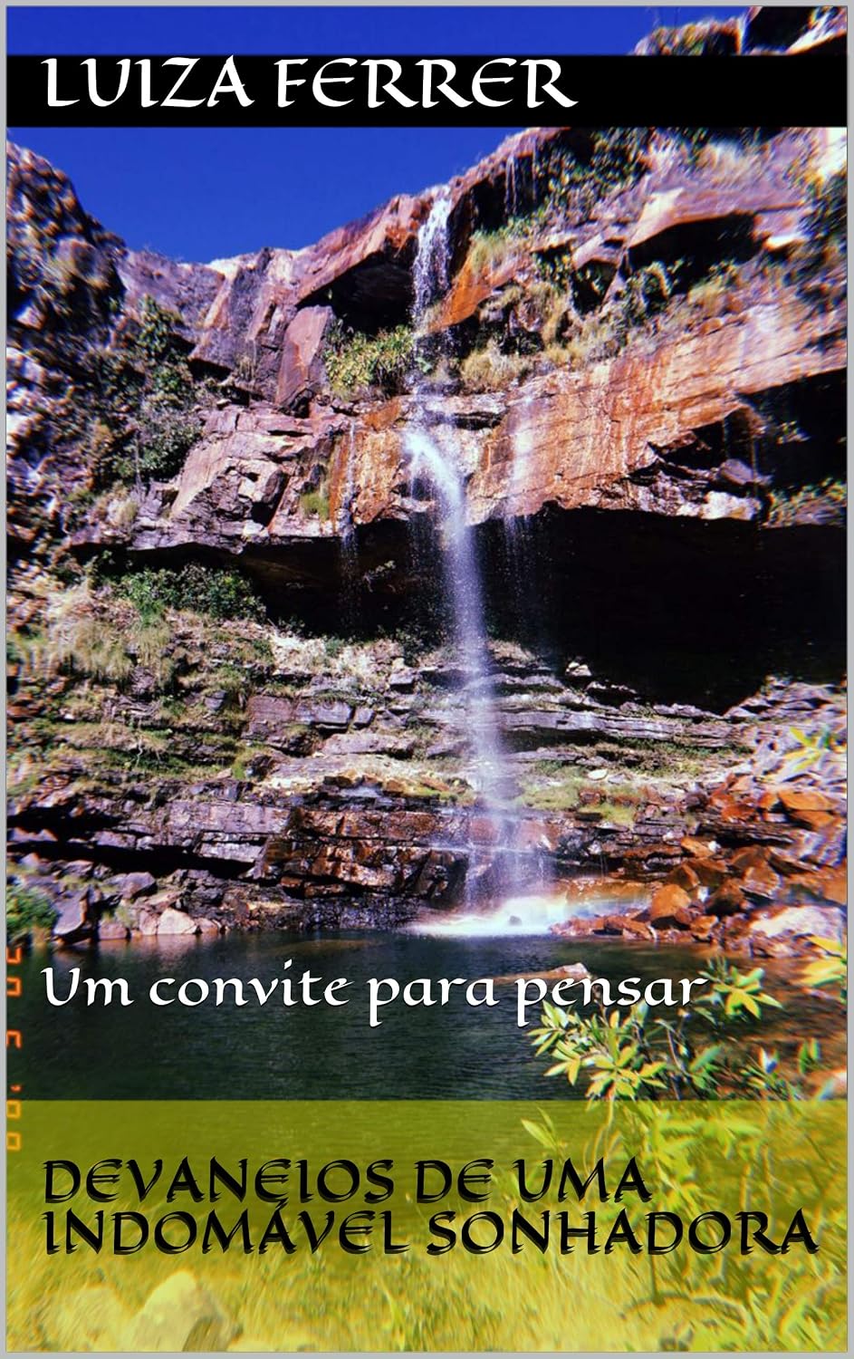 Devaneios de uma Indomável Sonhadora: Um convite para pensar baixar livro de graça
