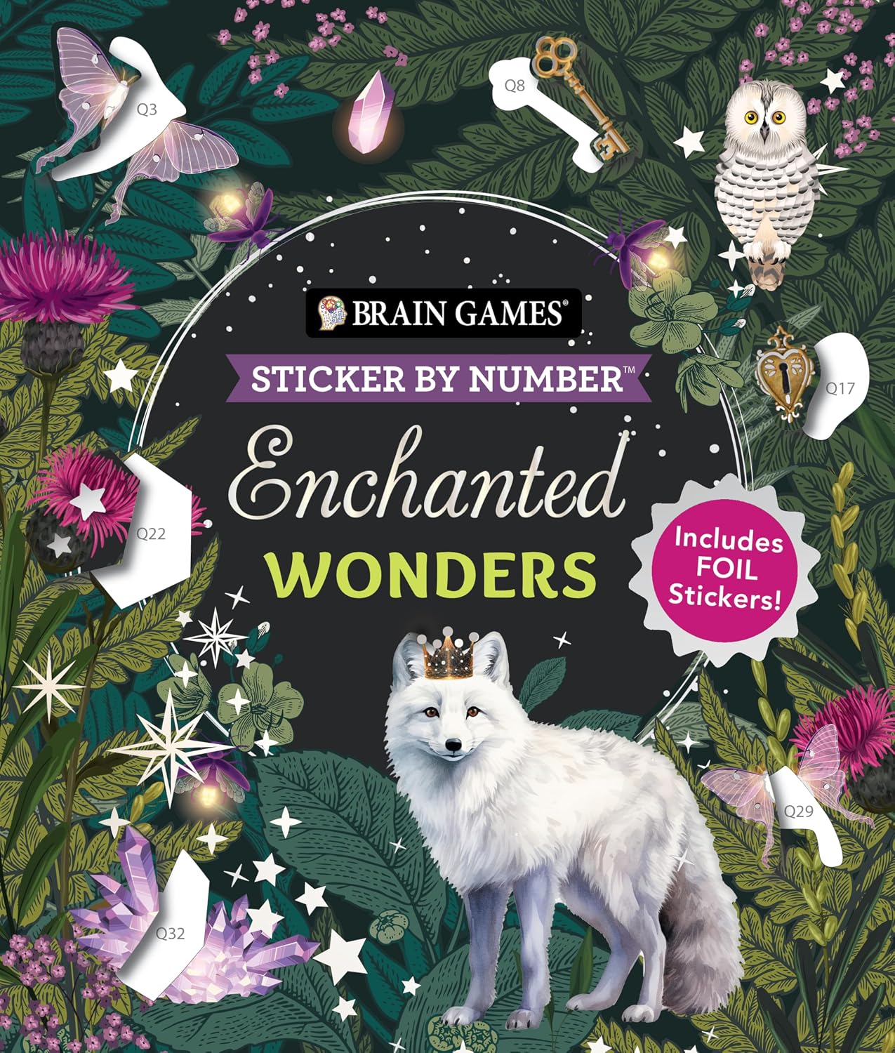 Brain Games - Sticker by Number: Enchanted Wonders (36 Images to Sticker): Includes Foil Stickers! baixar o livro de graça
