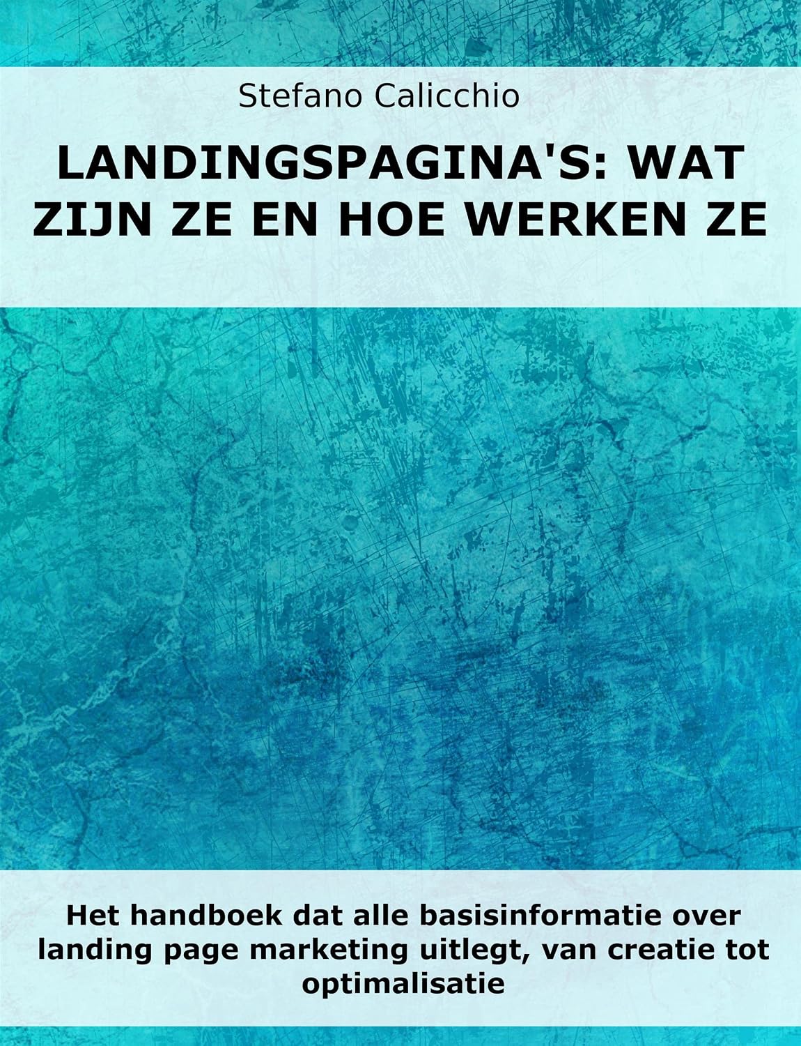 Landingspagina's: wat zijn ze en hoe werken ze: Het handboek dat alle basisinformatie over landing page marketing uitlegt, van creatie tot optimalisatie (Dutch Edition) baixar o livro de graça