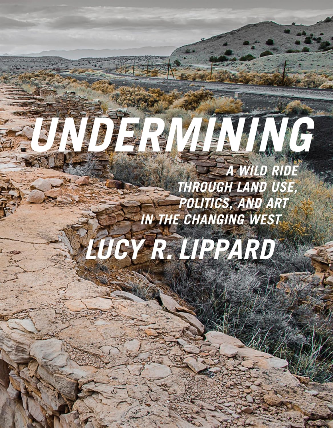 ler totalmente Undermining: A Wild Ride in Words and Images Through Land Use Politics in the Changing West: A Wild Ride Through Land Use, Politics, and Art in the Changing West