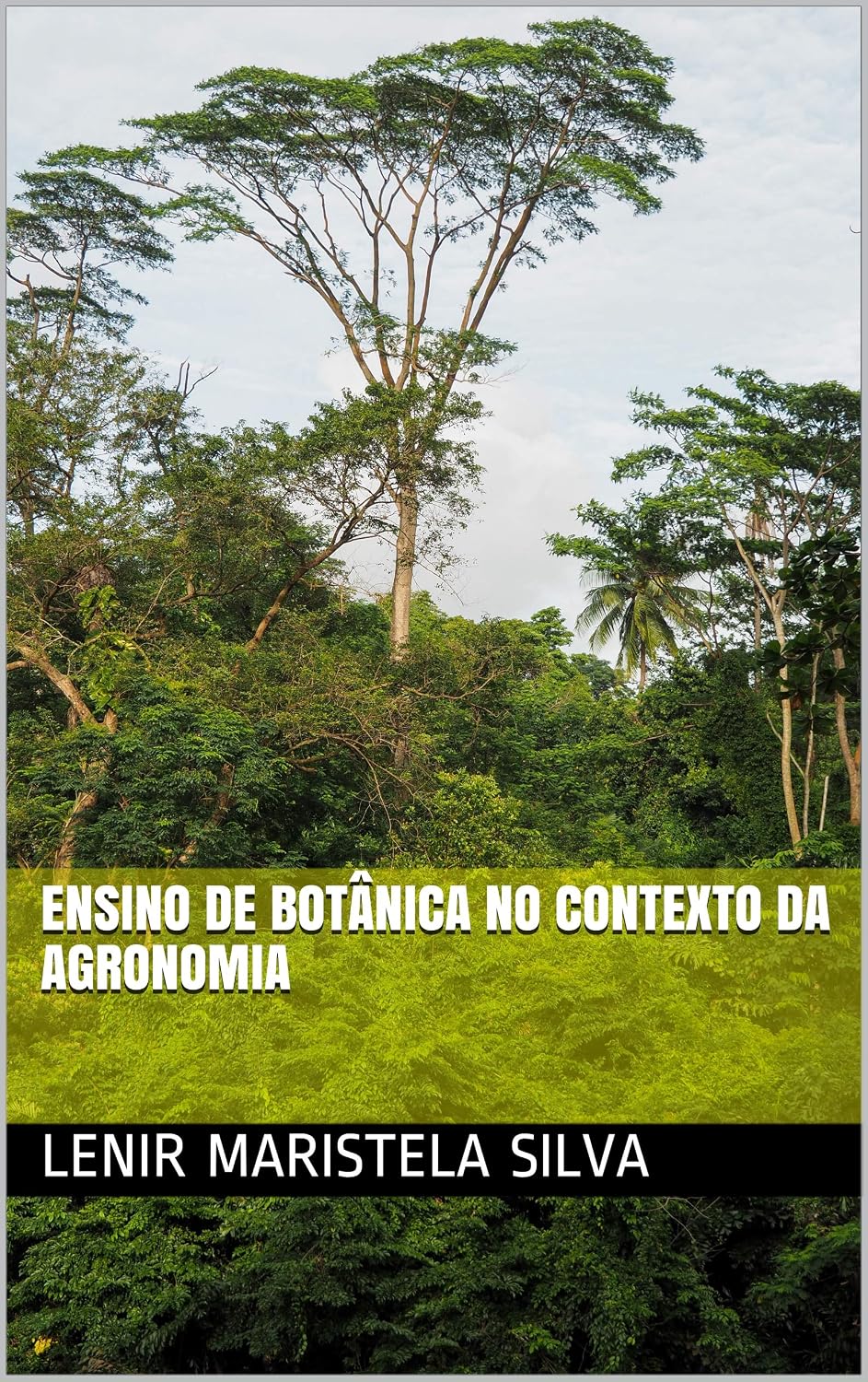 Ensino de Botânica no contexto da Agronomia baixar livro de graça
